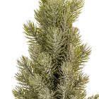 Cserepes fenyő M36cm