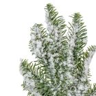 Fenyő pick havas 32cm