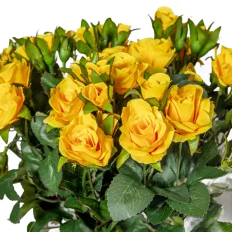 Rózsa csokor 27v. mix M40cm 12db/#