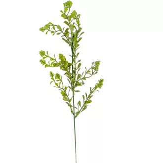 Zöld pick M50cm 6db/köteg 180db/#