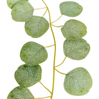Eukaliptusz leveles girland 190cm