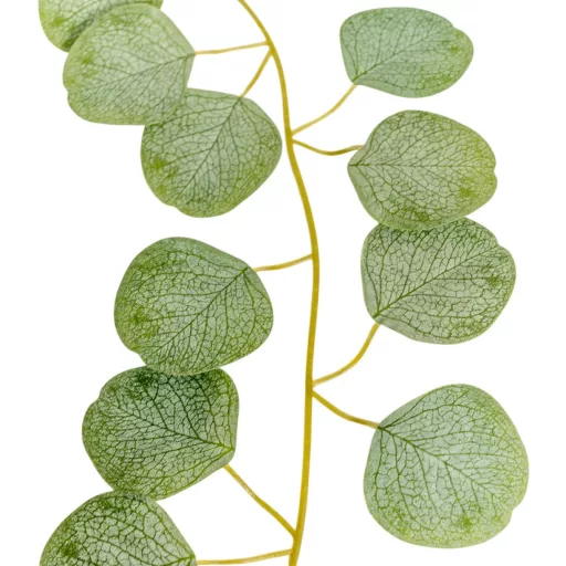 Eukaliptusz leveles girland 190cm