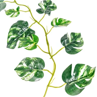 Monstera leveles girland 185cm