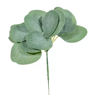 Eukaliptusz pick 22cm
