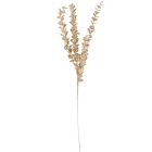 Glitteres eukaliptusz ág pezsgő M83cm