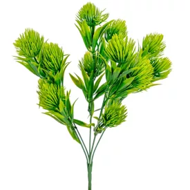 Japán gesztenye 5ágú M34cm