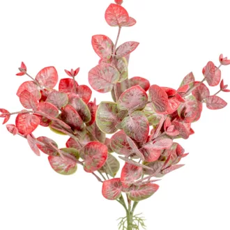 Eukaliptusz bokor 6ágú mix M39cm