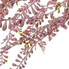 Eukaliptusz futó 3ágú 65cm 24db/#