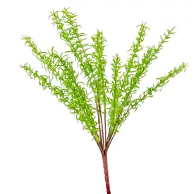 Zöld kakukfű bokor 13ágú M45cm 24db/#