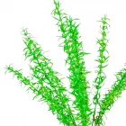 Spengeri csokor 13ágú M46cm 60db/#