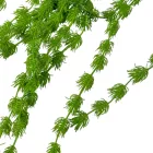 Zöld futó 5ág 75cm 40db#