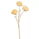Bazsarózsa ág 3v. krém M72cm 24db/#