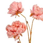 Bazsarózsa ág 3v. rózsazsín M72cm 24db/#