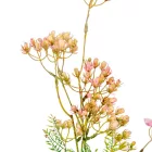 Díszítő szálas bogyós mix M75cm 48db/#