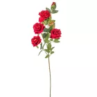 Rózsa ág 5v. M90cm 24db/#