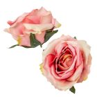 Rózsa virágfej krém-pink D9cm 12db/csom