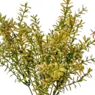 Bokor 7ágú mix M35cm 96db/#