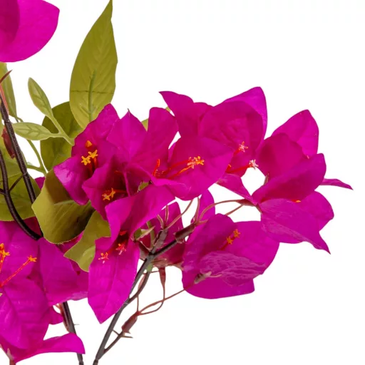 Bugenvilla szálas lila M75cm 48db/#