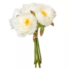 Kamelia köteg 6v. M25cm 24db/#