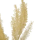 Bokor 5ágú fehér M40cm 60db/#