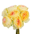 Rózsa köteg 7v. krém-rózsaszín M22cm 72db/#