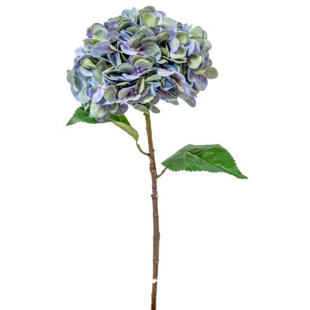 Hortenzia szálas gumi világoskék M55cm 24db/#