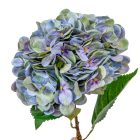 Hortenzia szálas gumi világoskék M55cm 24db/#