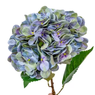 Hortenzia szálas gumi világoskék M55cm 24db/#