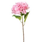 Hortenzia szálas gumi pink M55cm 24db/#