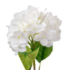 Hortenzia ág gumi fehér M55cm 24db/#