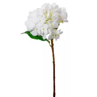 Hortenzia szálag gumi fehér M45cm 24db/#