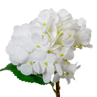 Hortenzia szálag gumi fehér M45cm 24db/#