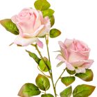 Rózsa ág 3v. M82cm 24db/#