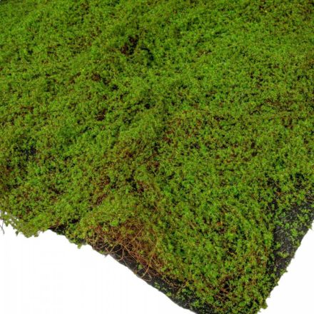 Mű moha szőnyeg zöld 1x1m