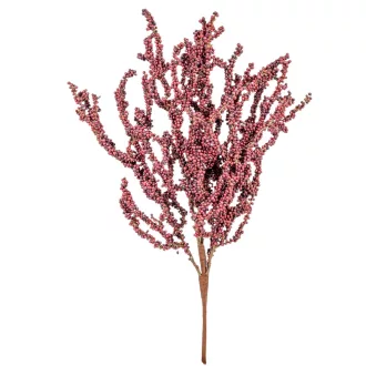 Bogyós bokor bordó M50cm