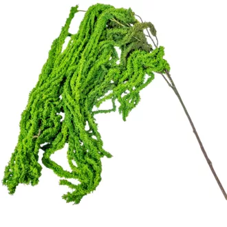 Amarantusz ág zöld 110cm 36db/#