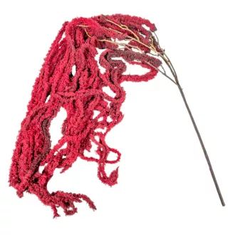 Amarantusz ág bordó 110cm 36db/#