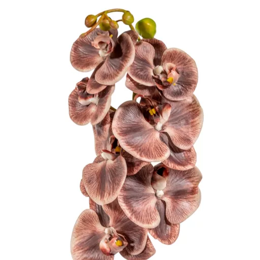 Orchidea ág  gumi M85cm 12db/#