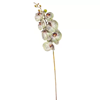 Orchidea ág  gumi M85cm 12db/#