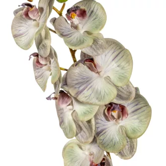 Orchidea ág  gumi M85cm 12db/#