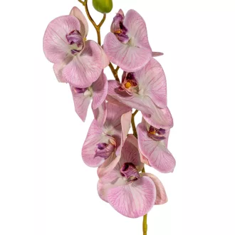Orchidea ág gumi pink M85cm 12db/#
