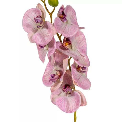 Orchidea ág gumi pink M85cm 12db/#