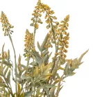 Díszítő csokor 5ágú M44cm 48db/#