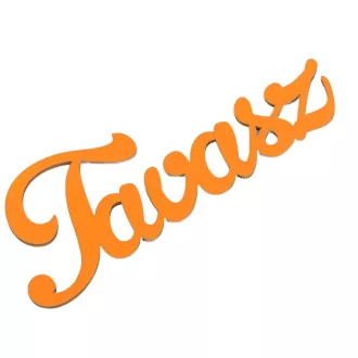 Tavasz felirat fa 15cm narancs