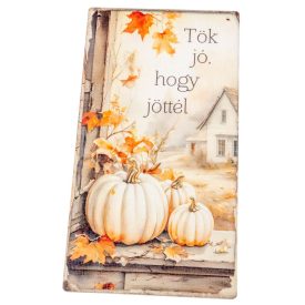   Nyomtatott fa táblaTök jó, hogy jöttél akasztós tábla 13x24,3cm