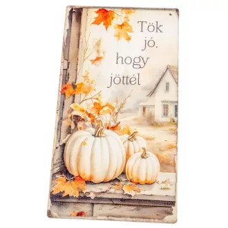   Nyomtatott fa tábla Tök jó, hogy jöttél akasztós tábla 13x24,3cm