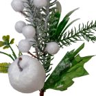 Havas, bogyós pick 29cm