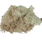 Izlandi moha natúr 25dkg/csom