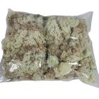 Izlandi moha natúr 25dkg/csom