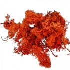 Izlandi zuzmó barna 25dkg/csom